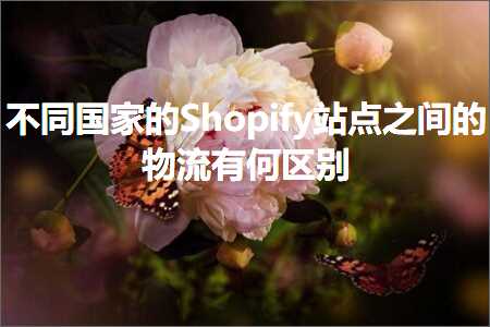 跨境电商知识:不同国家的Shopify站点之间的物流有何区别+